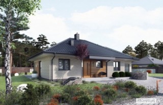 Mini 1 G1 (wiązary)