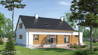 Samotna gwiazda - wariant...