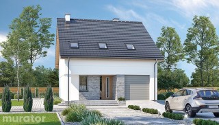 Doborowy - wariant VI M239f