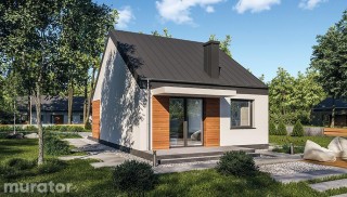 Miarodajny - wariant XXI C333z