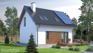 Trafna decyzja - wariant I...