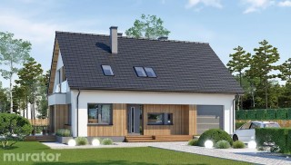 Zorganizowany (etap II) M244