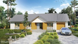 Efektowny - wariant I M238a