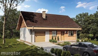 Miarodajny - wariant XX C333y