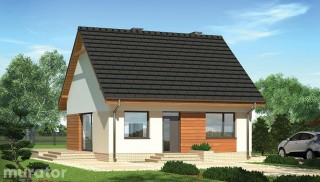 Niezawodny - wariant III M236c