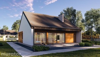 Przejrzysty - wariant IX C365i