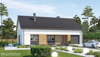 Wyjątkowy - wariant I M241a