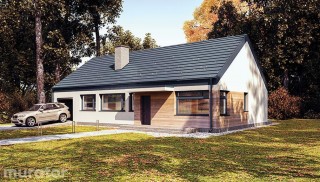 Przejrzysty - wariant VIII...