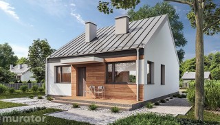 Przejrzysty - wariant II C365b