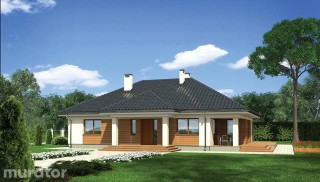 Zachodni widok - wariant I...