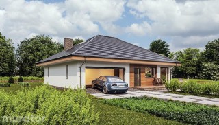 Czterolistna koniczyna -...