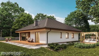 Czterolistna koniczyna -...