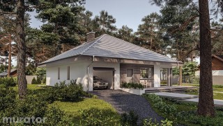 Czterolistna koniczyna -...