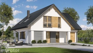 Malinowy krzew - wariant I...