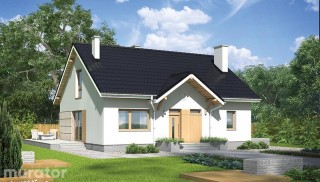 Znamienity - wariant VII M190g