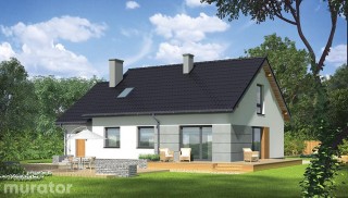 Znamienity - wariant IV M190d