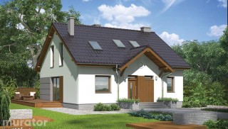 Znamienity - wariant VI M190f