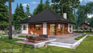 Czterolistna koniczyna -...