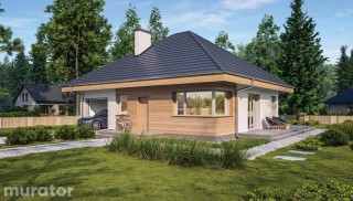 Czterolistna koniczyna -...