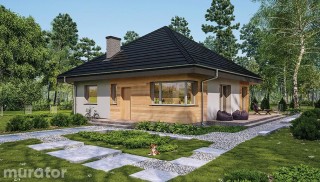 Czterolistna koniczyna -...