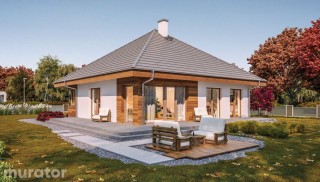 Czterolistna koniczyna -...