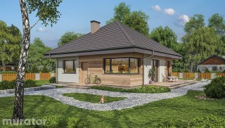 Czterolistna koniczyna C444