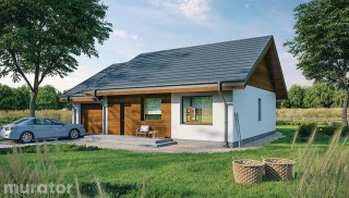 Miarodajny - wariant XII C333m