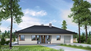 Poranna mgła - wariant II...