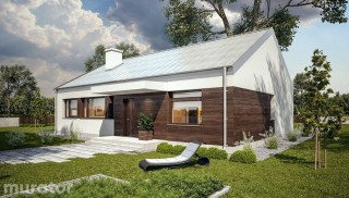 Przejrzysty - wariant I C365a