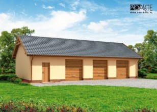 G217 szkielet drewniany...