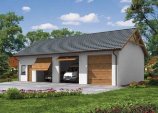 G38  szkielet drewniany...