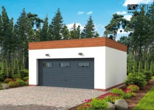 G309  szkielet drewniany...