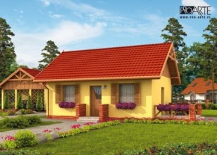 TORONTO C szkielet...