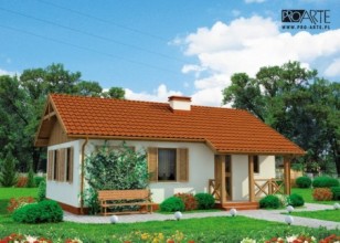 LA PALMA C szkielet...