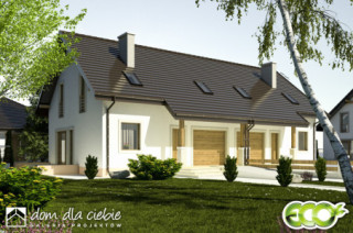 Turkawka bliźniak BL1