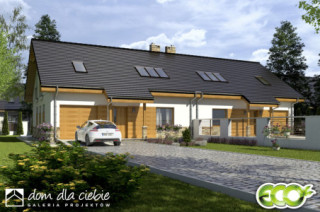 Jarząbek III bliźniak BL2