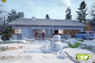 Jarzębina z garażem